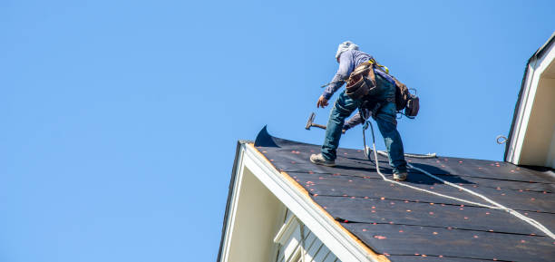 Best Roof Replacement Cost  in Butte, MT